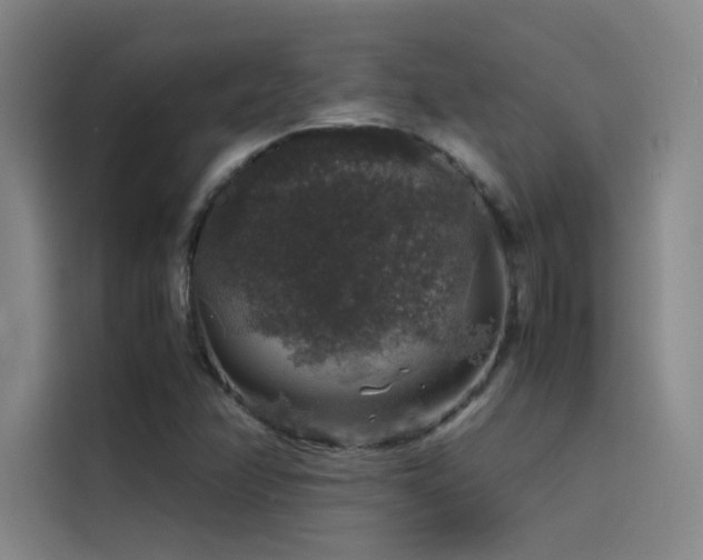 X0000116101358200911231117