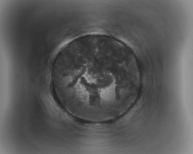 X0000116101359200911231117