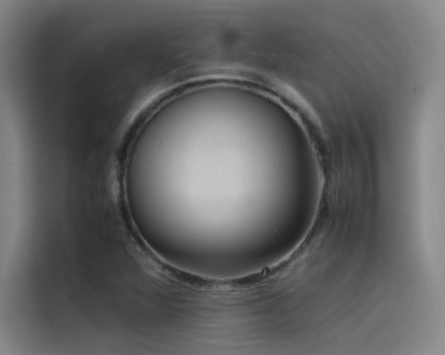 X0000116101360200911231117