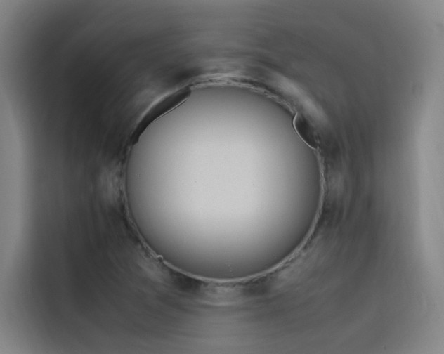 X0000116101361200911231117