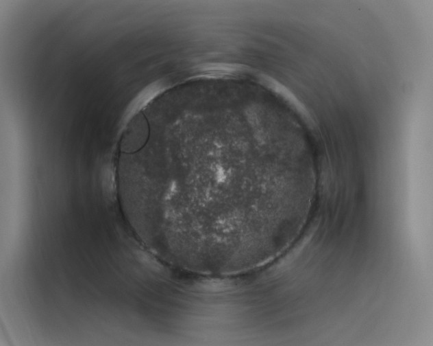 X0000116101362200911231117