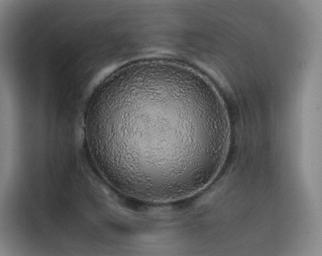 X0000116101363200911231117