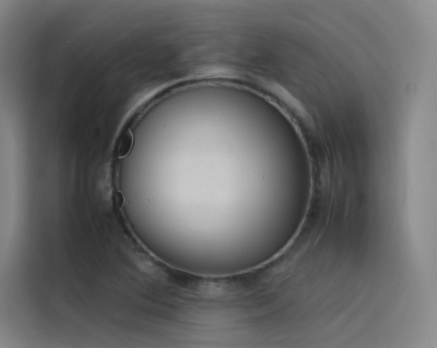 X0000116101364200911231117