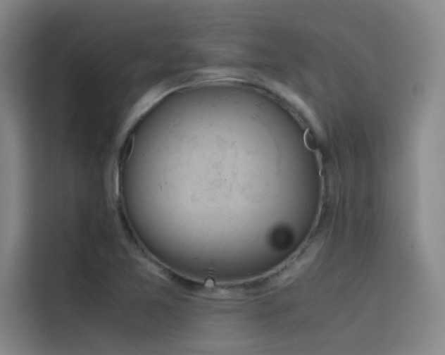 X0000116101365200911231117