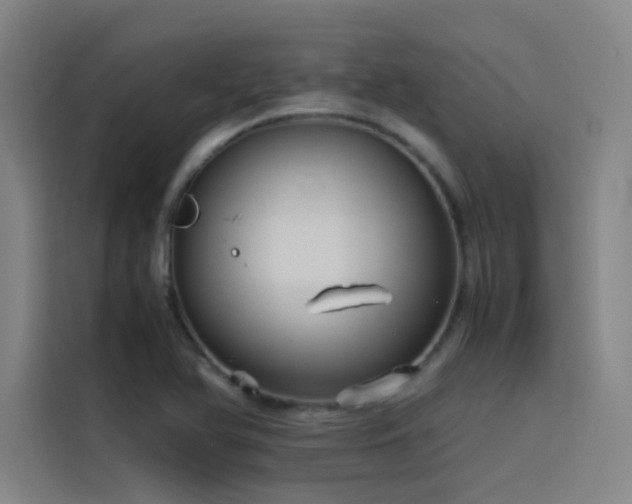 X0000116101366200911231117
