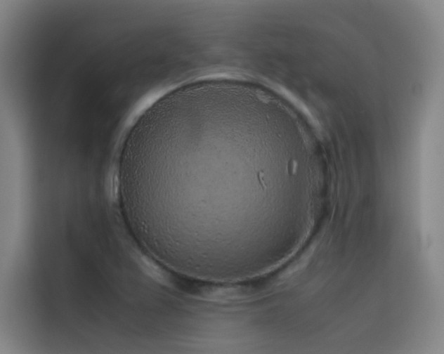 X0000116101367200911231117