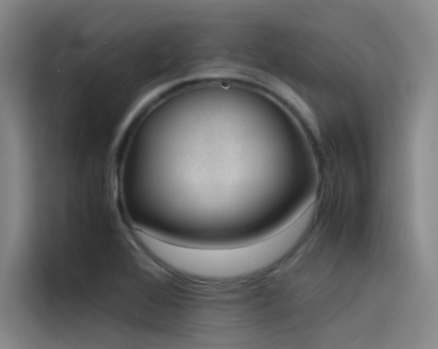 X0000116101368200911231117