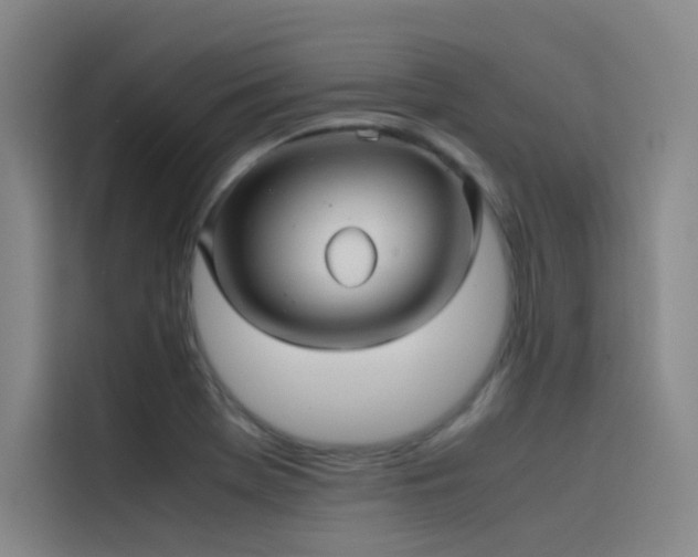 X0000116101369200911231117