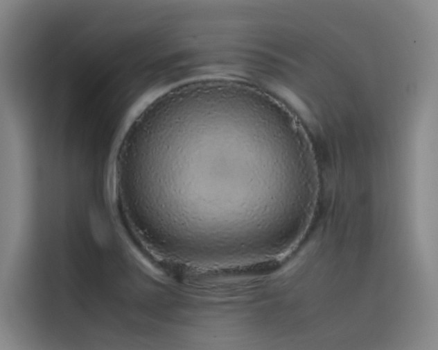 X0000116101371200911231117