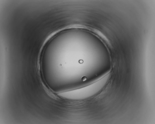 X0000116101372200911231117