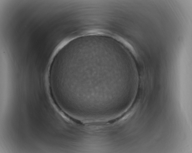 X0000116101373200911231117