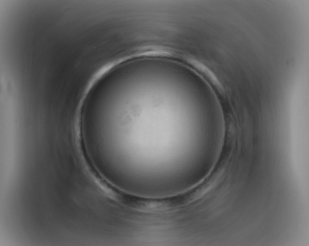 X0000116101375200911231117