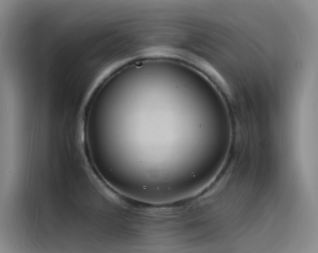 X0000116101376200911231117