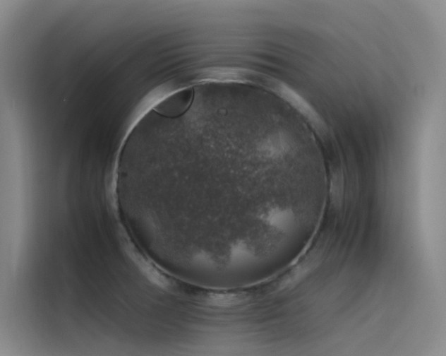 X0000116101378200911231117