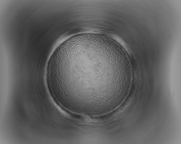 X0000116101379200911231117