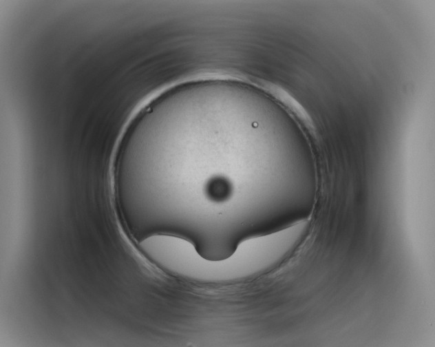 X0000116101380200911231117