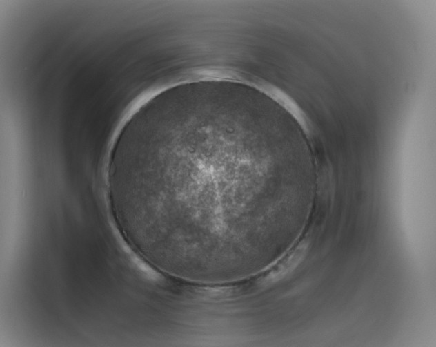X0000116101381200911231117