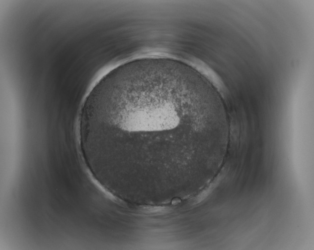 X0000116101382200911231117