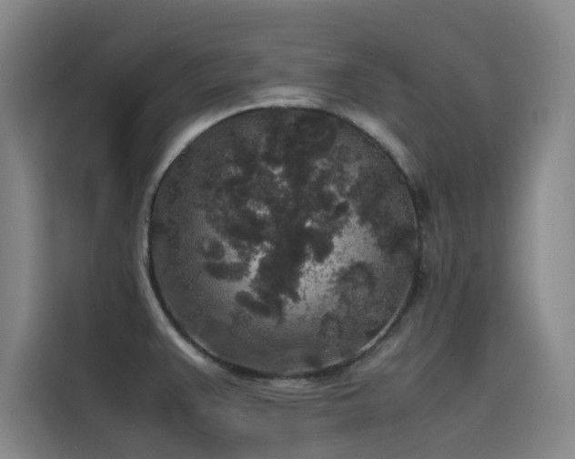X0000116101383200911231117
