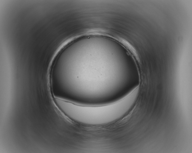 X0000116101384200911231117