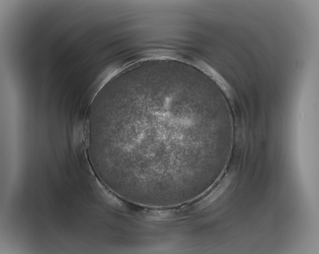 X0000116101385200911231117