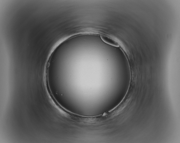 X0000116101387200911231117