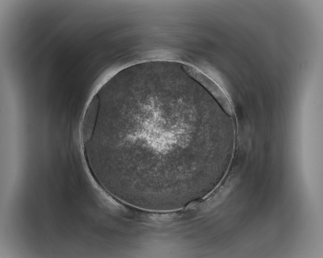 X0000116101389200911231117