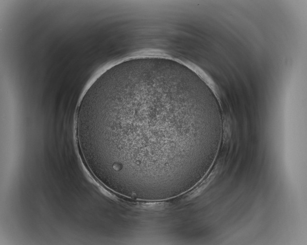 X0000116101390200911231117
