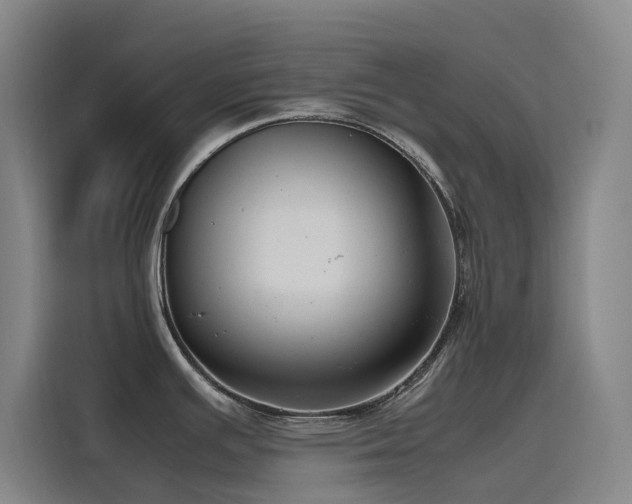 X0000116101391200911231117