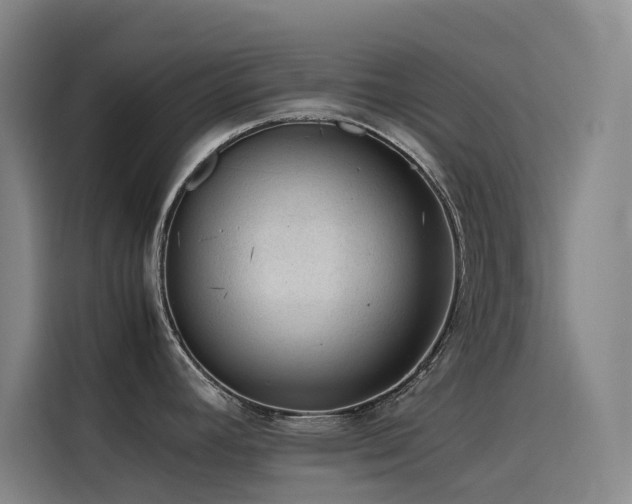 X0000116101392200911231117