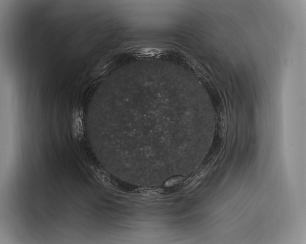 X0000116101394200911231116