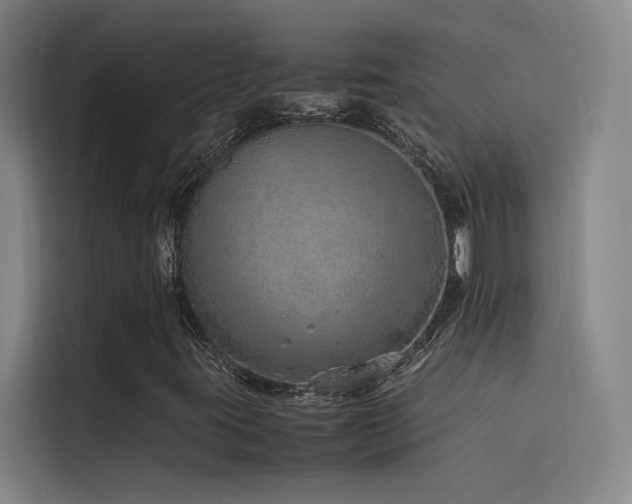 X0000116101395200911231116
