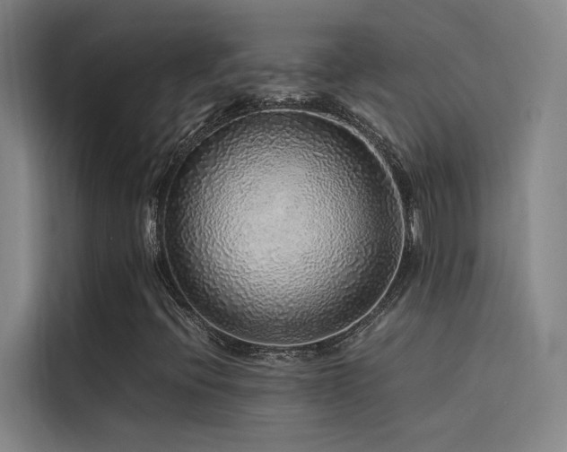 X0000116101396200911231116