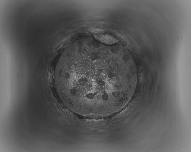 X0000116101397200911231116