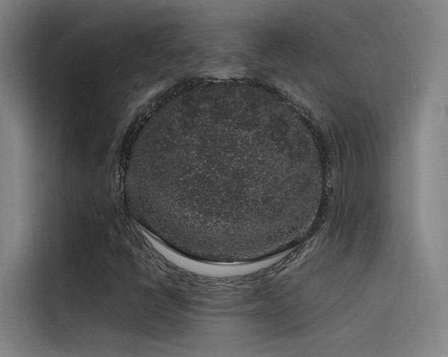 X0000116101398200911231116