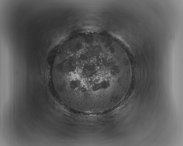 X0000116101399200911231116