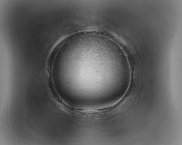 X0000116101400200911231116