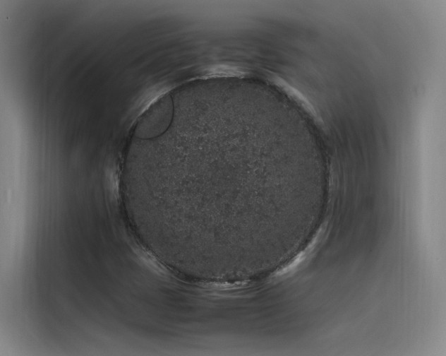 X0000116101401200911231116