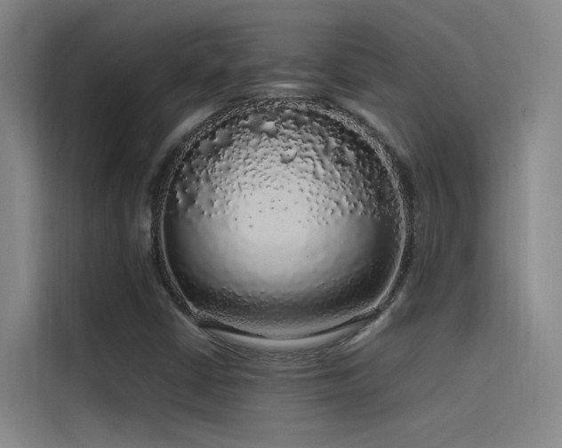 X0000116101402200911231116