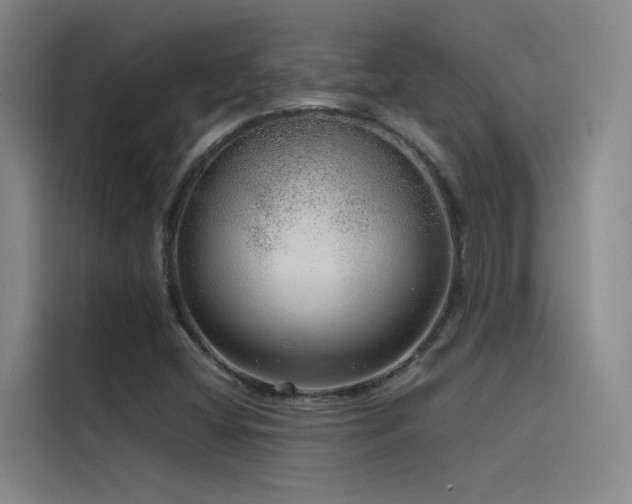 X0000116101404200911231116
