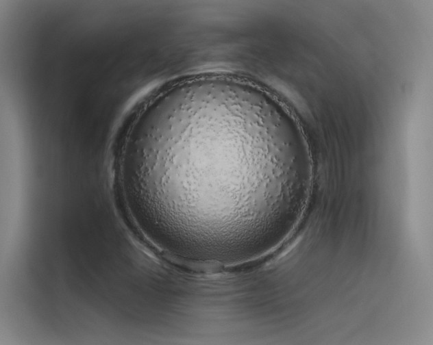 X0000116101406200911231116