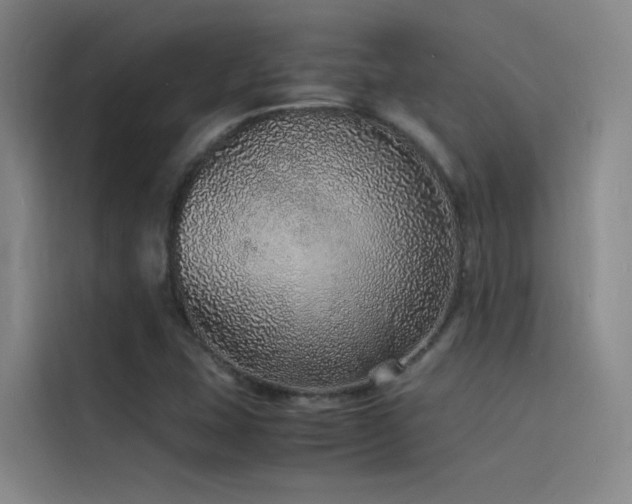 X0000116101407200911231116