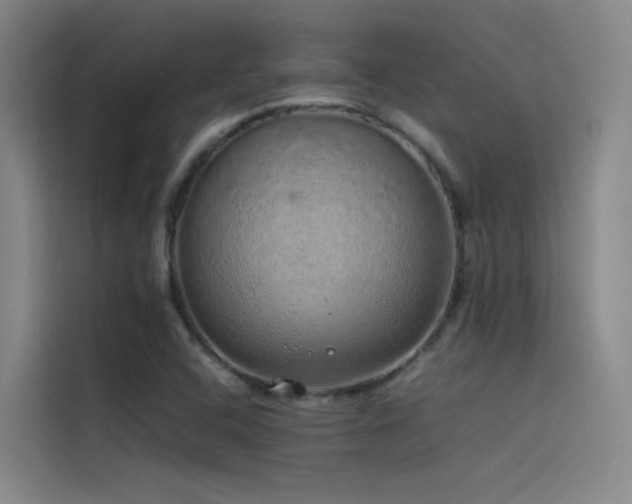 X0000116101408200911231116