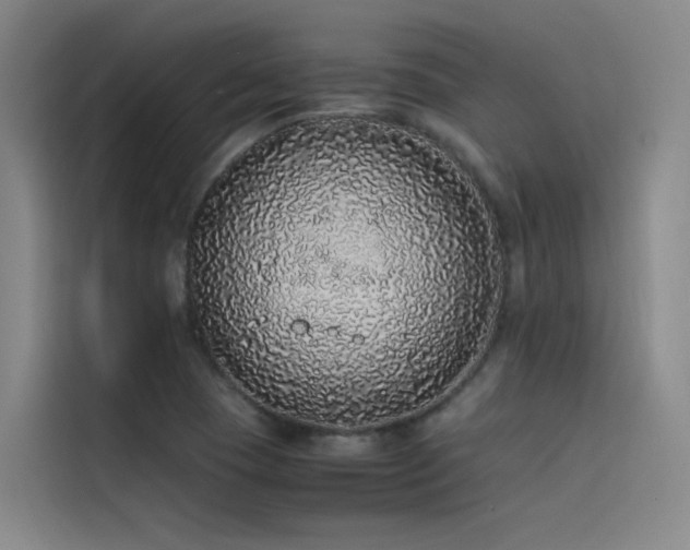 X0000116101409200911231116