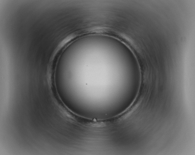 X0000116101410200911231116