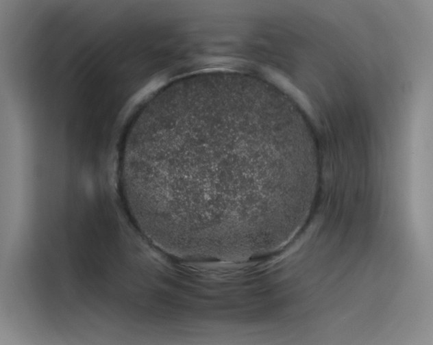 X0000116101411200911231116