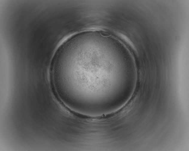 X0000116101412200911231116