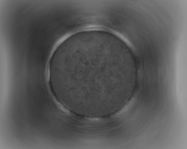 X0000116101413200911231116