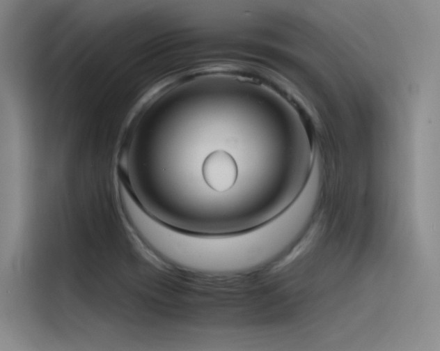 X0000116101417200911231116