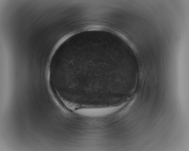 X0000116101418200911231116